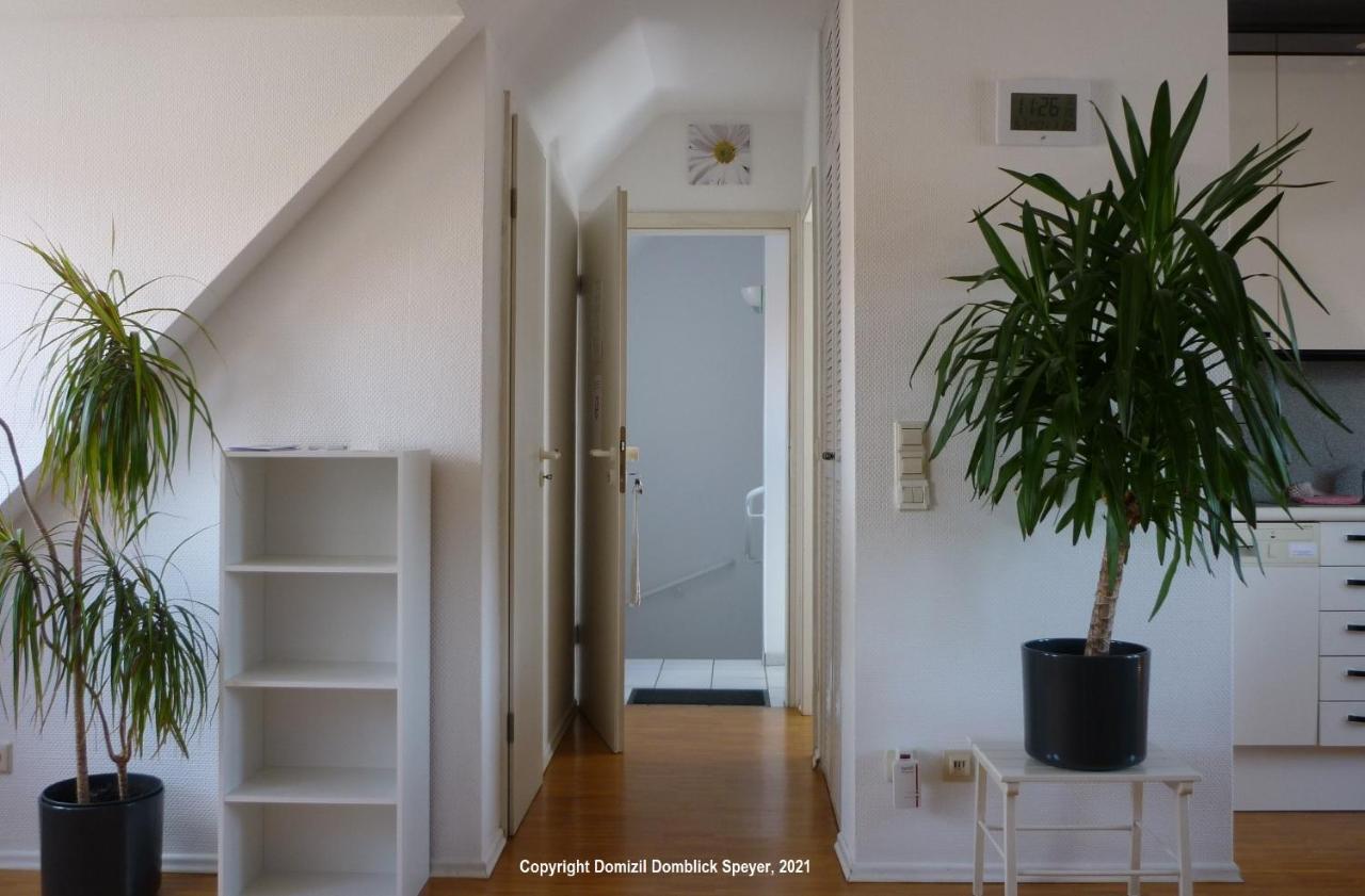 Domizil Domblick Speyer City, Garage, 50M2 Extérieur photo